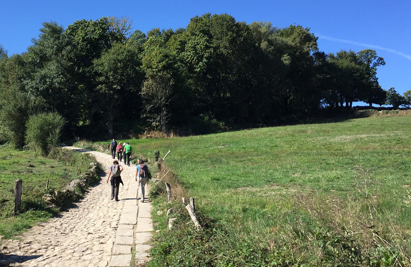 caminho de santiago